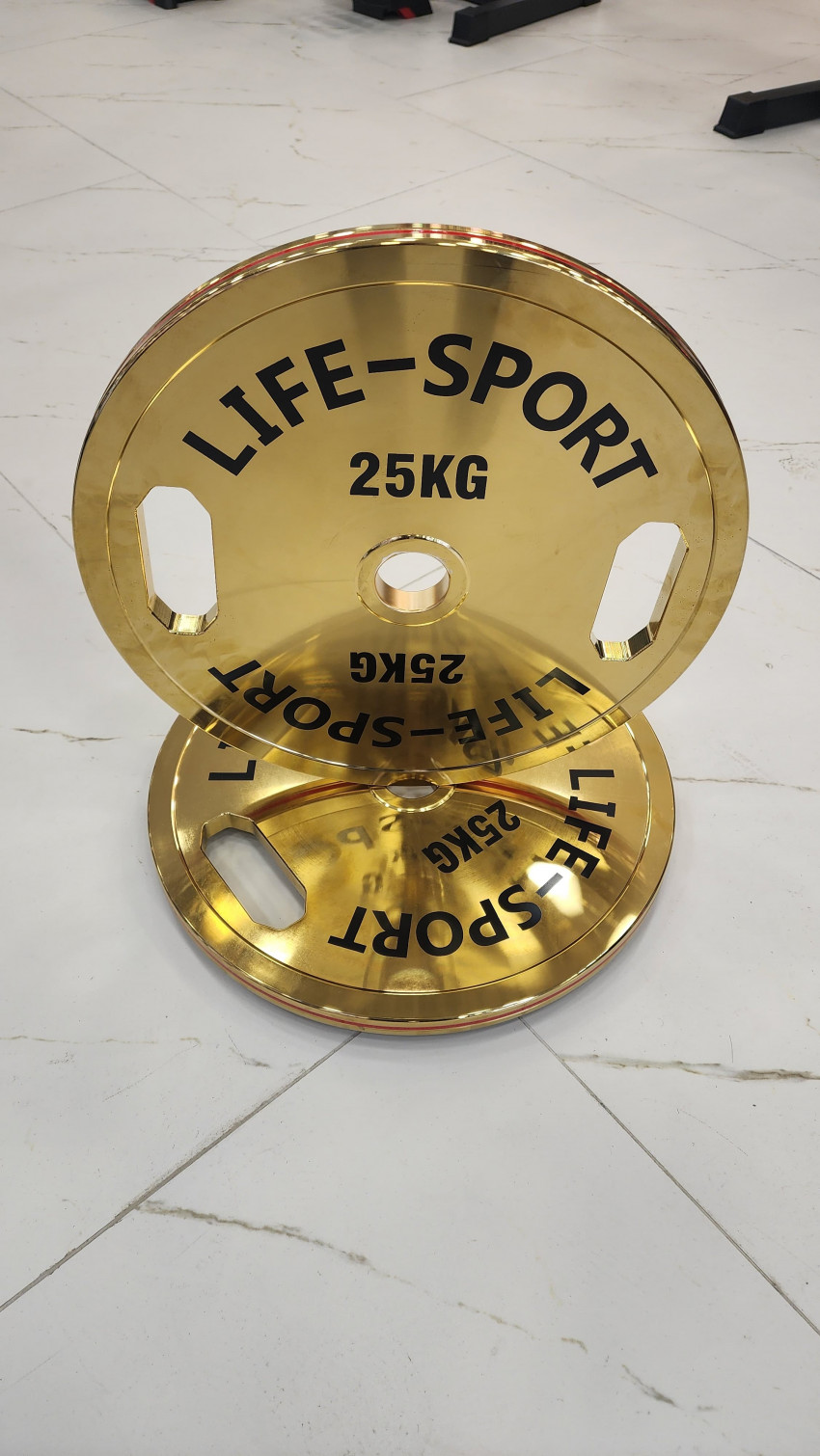 Life Sport Pro Bronze Coating Change Plate 25 kg